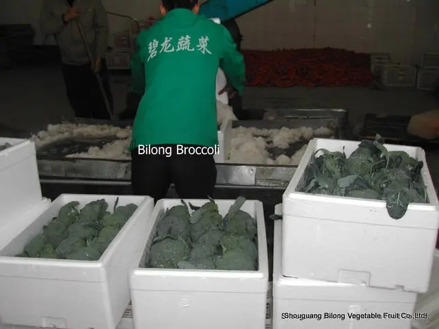 Bilong-3.JPG