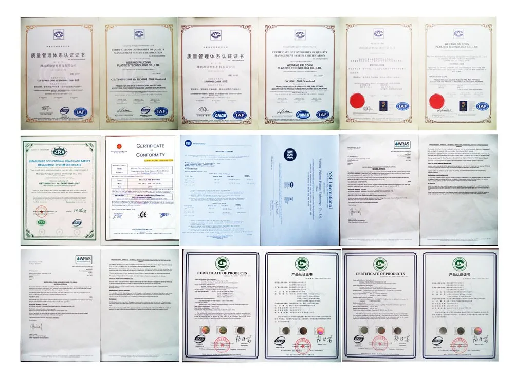 Certificate.jpg