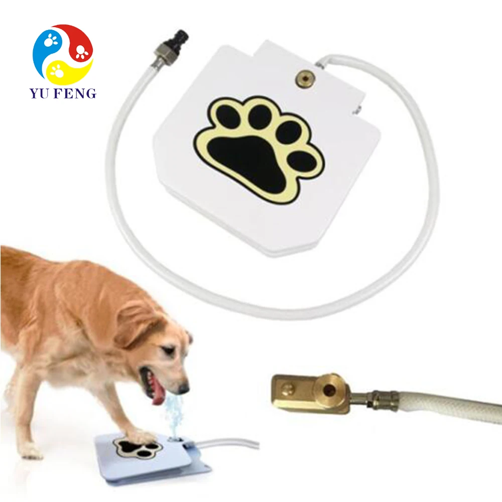 dog foot pedal water fountain