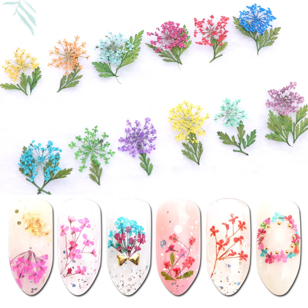 Hot Sale Nail Art Nature Pressed Dry Flower Dried Flowers ...