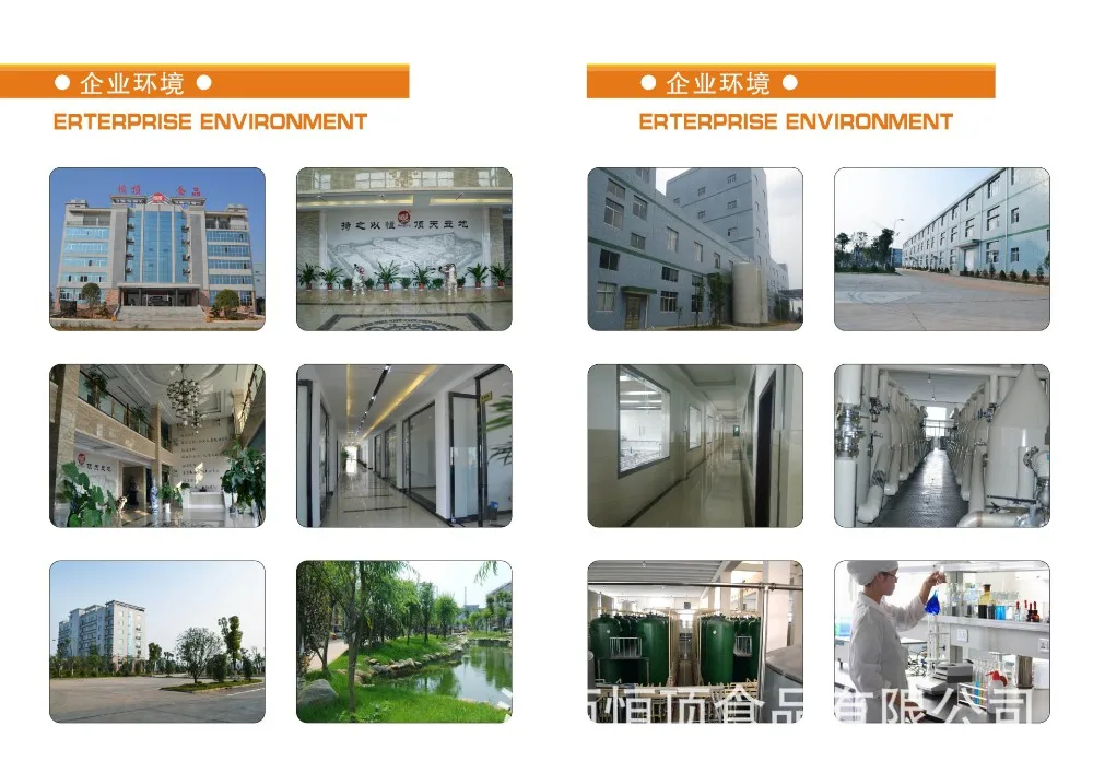 3582175329_813645514 (7)