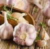 china market garlic price