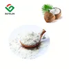 Instant Coconut Milk Powder Coconut Fruit Powder for Food & Beverage
