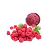 Kosher/Haccp/FDA certified organic raspberry powder raspberry juice powder