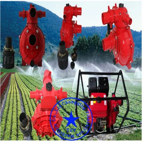 Juanyong Brand High Pressure Water Pump Electric Pressure Agriculture Irrigation Water Pump
