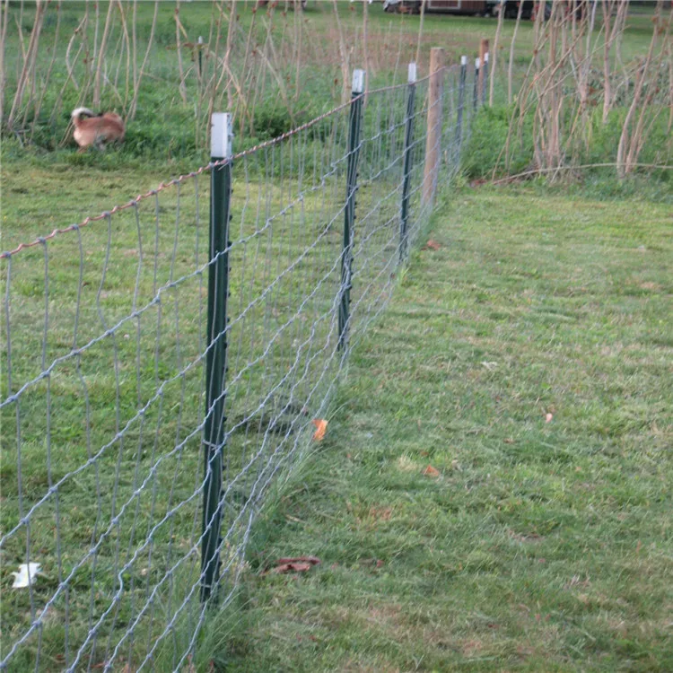 T Post Farm Fence Panels Buy T Posts 8 Ft,Metal