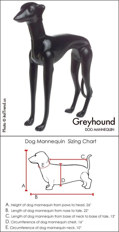 Greyhound Shipping Rate Chart