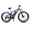 Battery Vehicle Ebicycle/Bicycle Dutch 450 Watt or 500 W 16Ah Electric Bike Cycle Cruiser