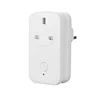220v Zigbee Smart Plug