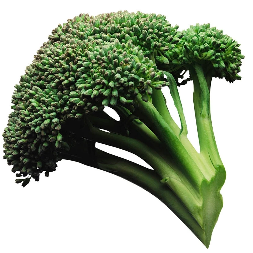 Broccoli seed7.jpg