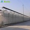Multi Span Greenhouse for Vegetable