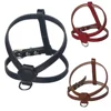 Little cat genuine leather dog harness cat pet harness easy walk dog harness