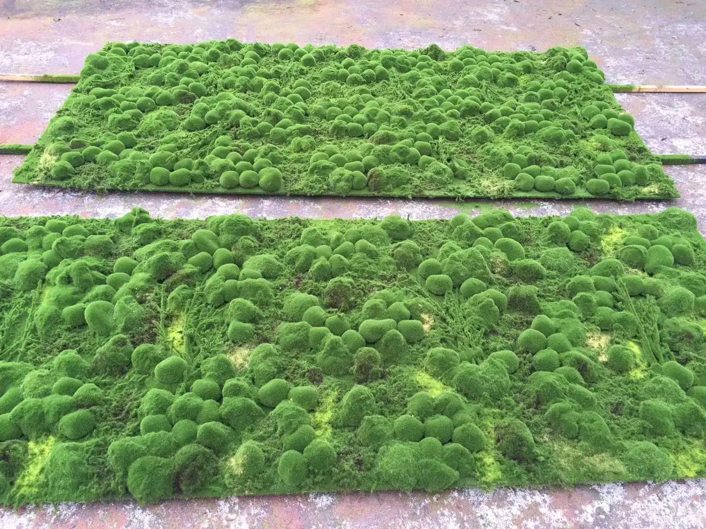 Artificial Grass Moss Lawn Plant Wall Dress Turf SOD Meadow Home Garden  Decor EPE Fluffy Emulation Moss Turf - China Moss Lawn and Artificial Moss  Turf price