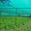guangzhou agricultural shade net winners sun plastic swimming pool shades ground cover net sail material