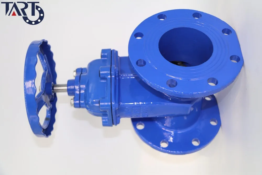 China Supplier Bs5163 Resilient Seated Gate Valve Buy Types Of Gate 