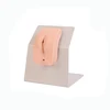 medical training model and medical nursing model /Catheterization Training Simulator(Female)
