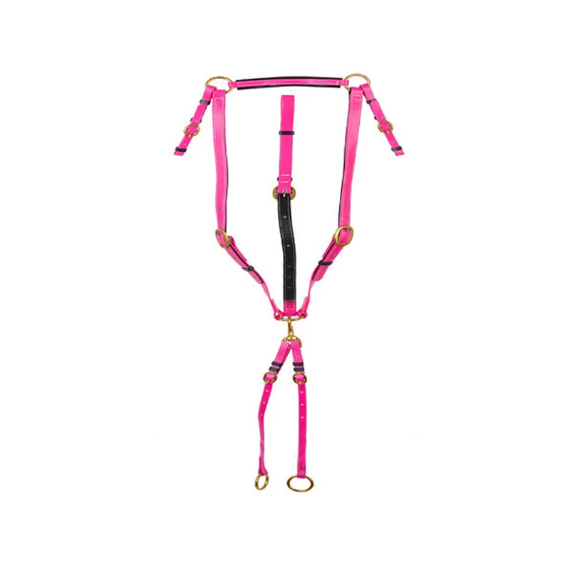 Customized yellow designer horse halters