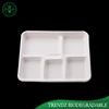 School lunch tray pulp sugarcane paper food tray with 5 compartments