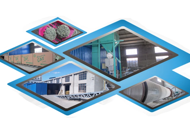 Bir yigit mast dostini sikadi