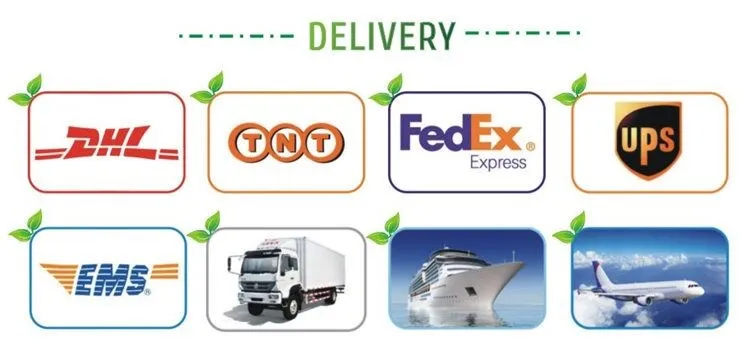 Chen -Delivery_.jpg