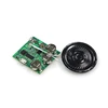 Programmable small 12v usb mp3 fm sound module