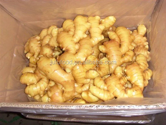 ginger