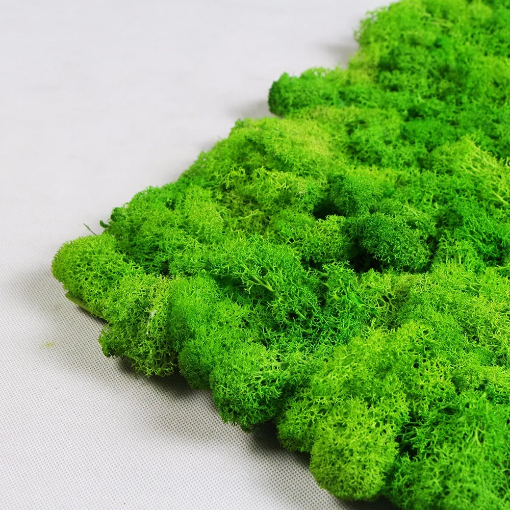 Sunwing New Natural Dried Preserved Artificial Moss Grass Wall For