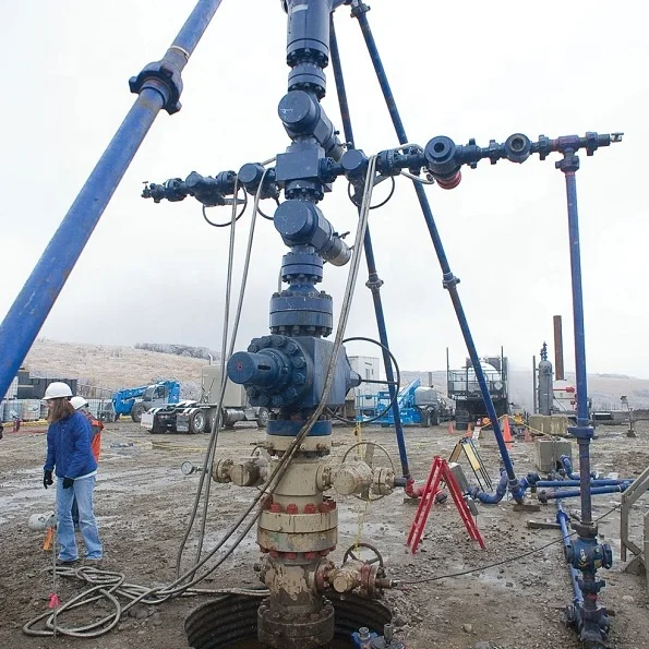 Wholesale 4" oneway back pressure valves oil & hot oil valve Suppliers