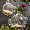 Hand blown glass bird feeder for garden decoration clear hanging glass bird feeder