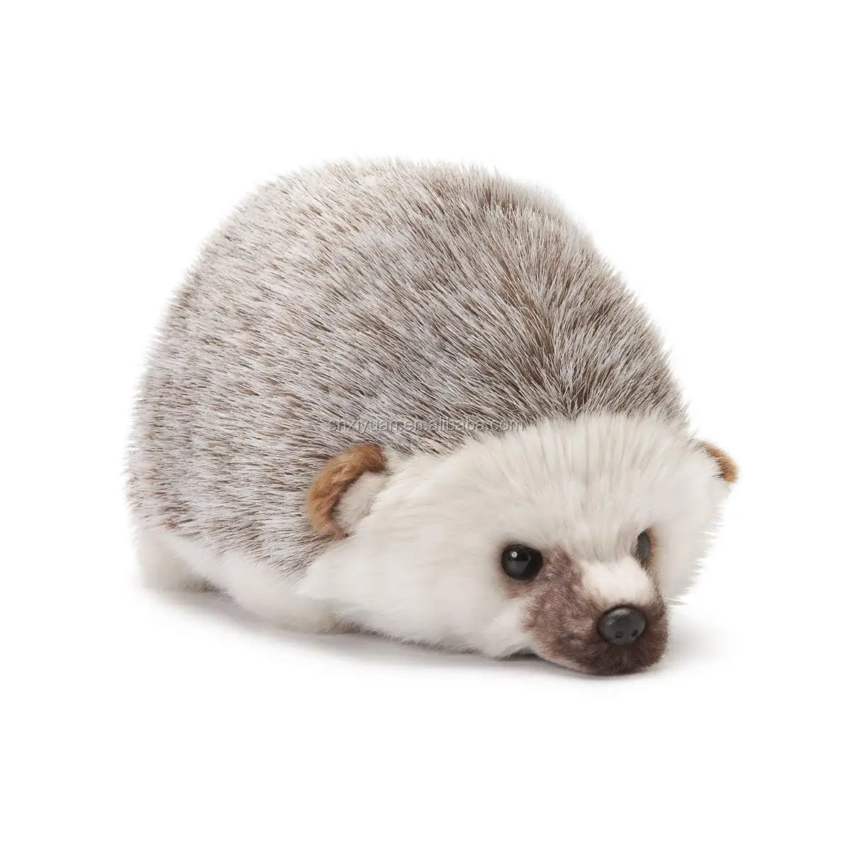 hedgehog cuddly toy