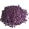 2019 Hot Sale Pp Plastic Granules For Injection Polypropylene Raw Material Price