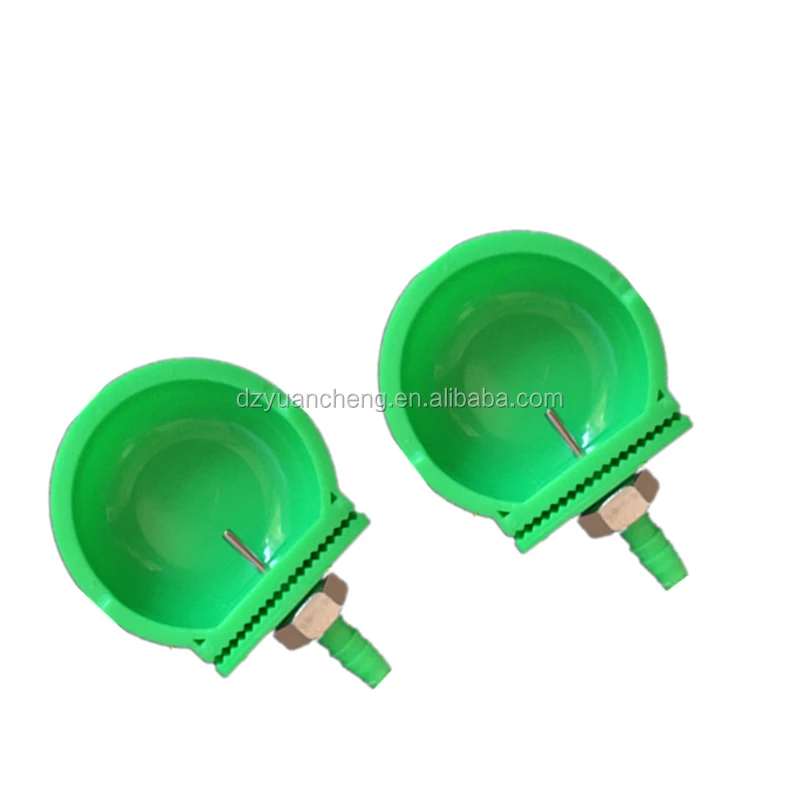 rabbit drinking bowl