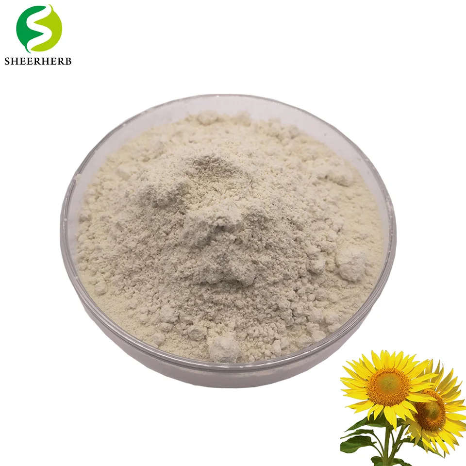 Лецитин подсолнечный порошок. E322 - Lecithin. Organic Sunflower Lecithin. MORNATURAL лецитин порошок.