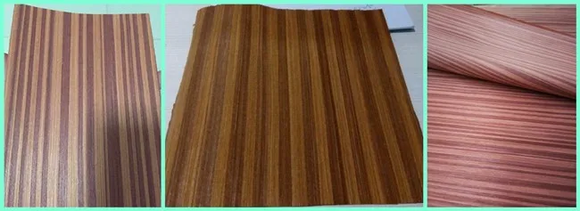 design veneer door/engineered teak wood veneer /eucalyptus tree price