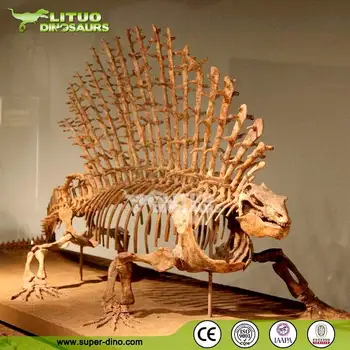 dinosaur skeleton exhibit