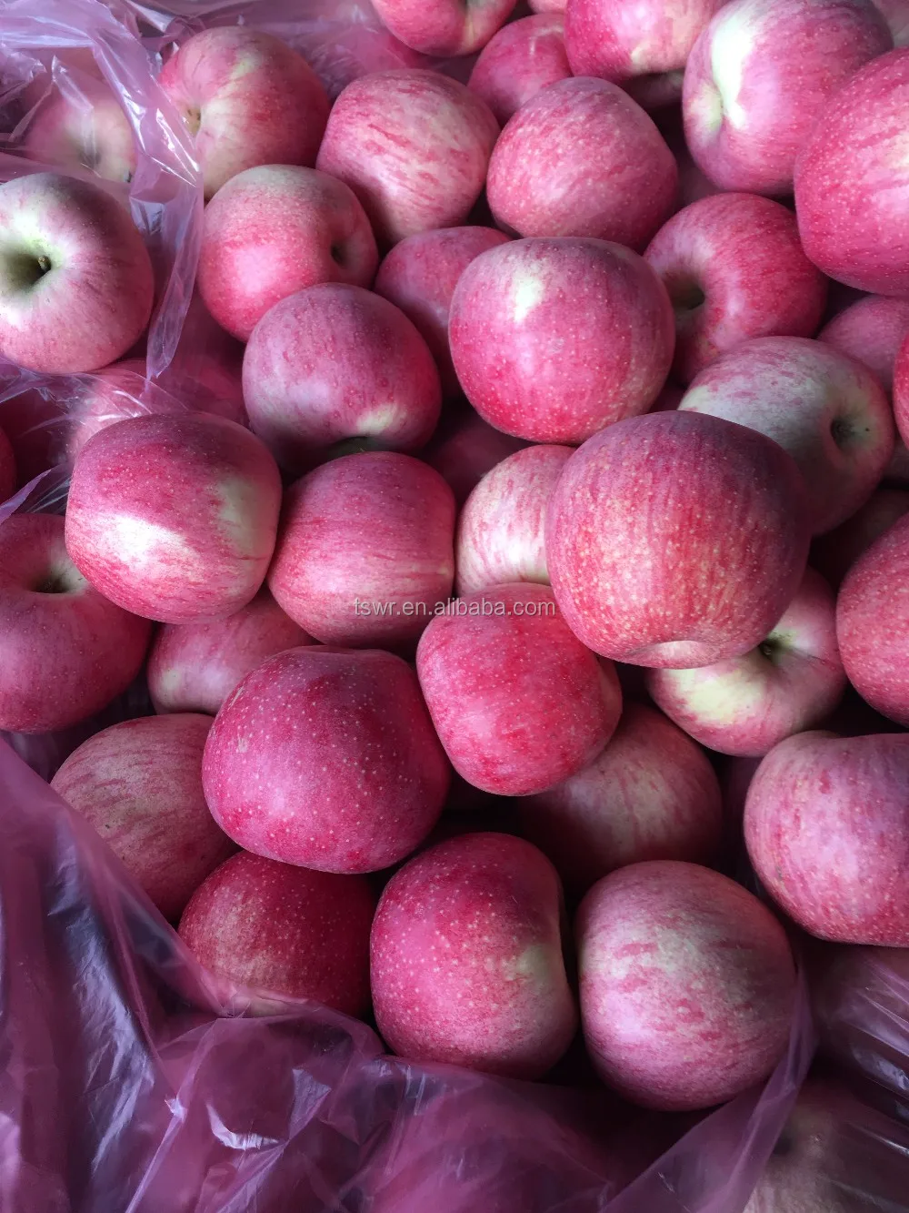 chinese fresh fruit pink qinguan apple fresh red qinguan apple