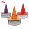 Halloween Wicked Witch Hat Witches Costume Hat with Spider Web Veil