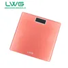 Portable Body Digital Weight Scale Components Weighting Scale