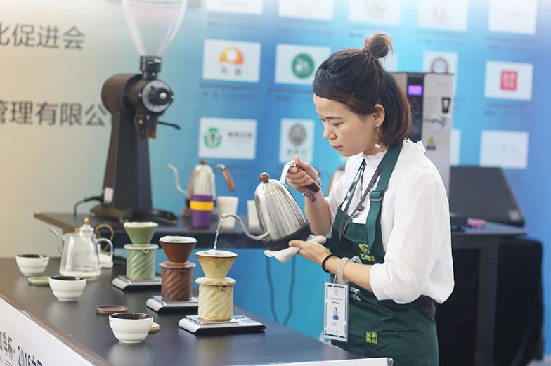 Diguo 700ml 24oz Black Color Electric Variable Temperature Setting