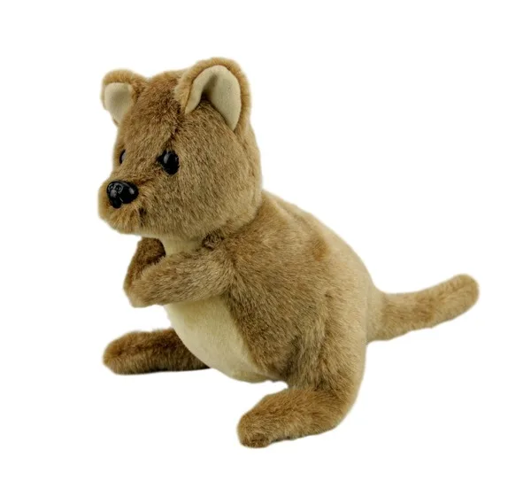 peluche quokka