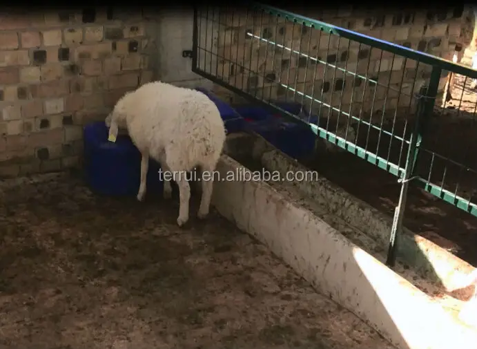 Automatic Farming Feeder And Drinker Buy Drinking Tank For Cows