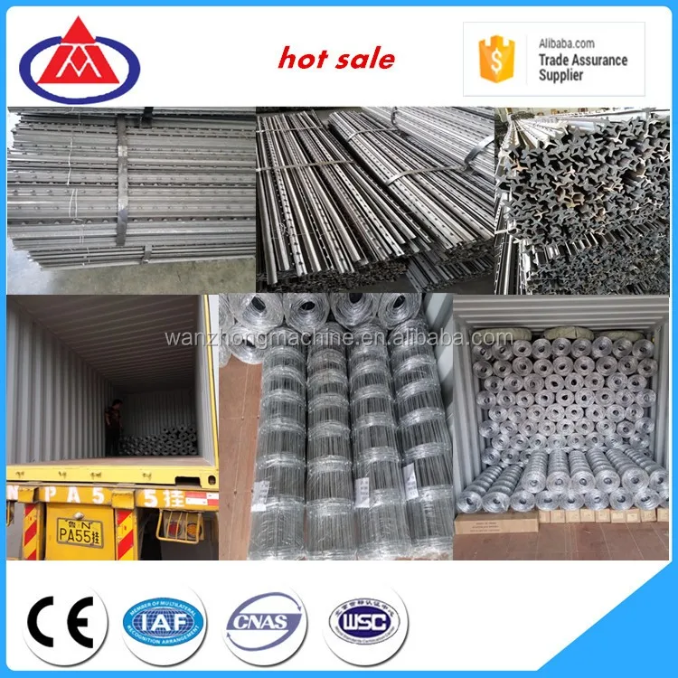 Cattle Fence