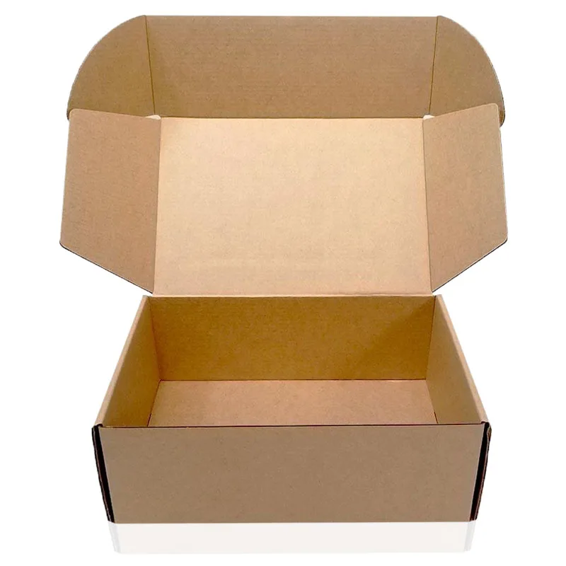 Custom Self Sealing Corrugated Caton Shipping Box For Suits Buy Caton