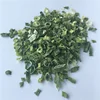 AD processing type dry spring onion egypt instead of fresh onion