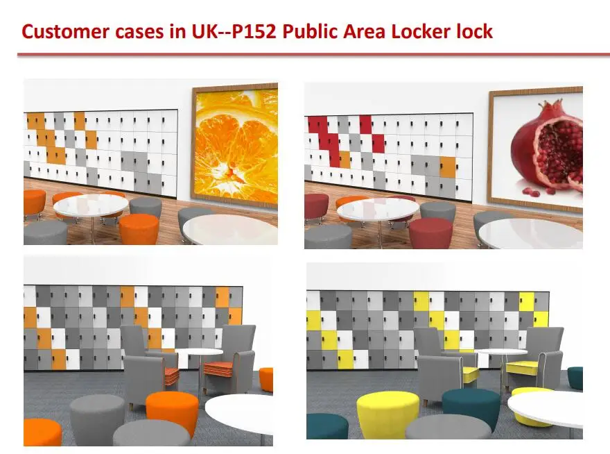 P152 lock locker case.jpg
