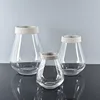 Unique flower glass vases 2019 clear hanging plant glass flower vase wholesale