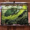 A tumble of wild grasses and earthy ferns merged with claret toned foliage artificial green wall supplier
