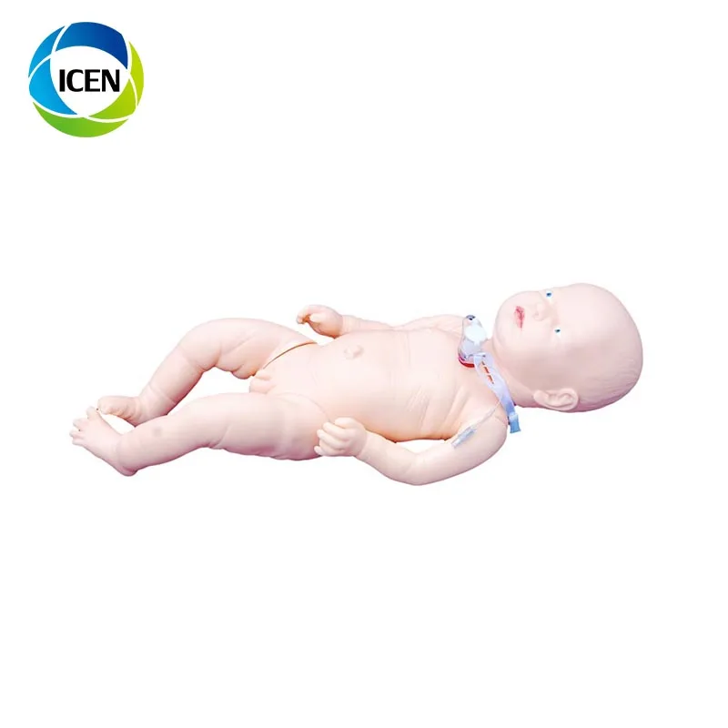 infant obstruction model