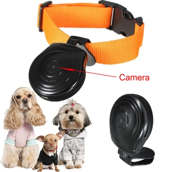 dog camera for collar