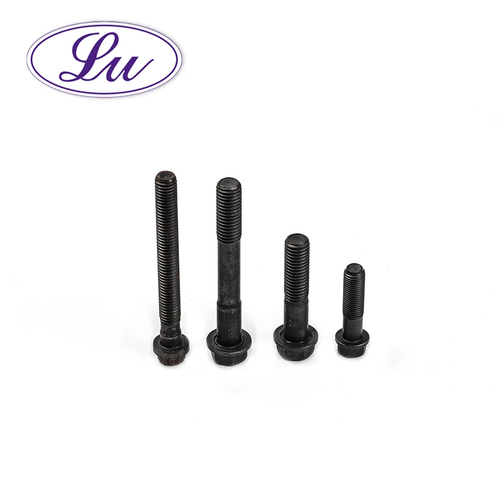 We Can do anything special head screw adjustable screw lag screw